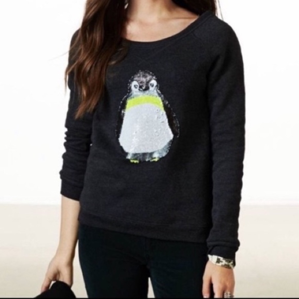 American Eagle Penguin Sweater